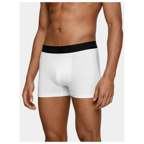 4F Ανδρικό εσώρουχο boxer 2-Pack